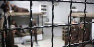 المعتقل مهنا زيود يدخل عامه الـ 20 في سجون الاحتلال