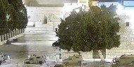 فيديو | الاحتلال يقتحم مدينة بيت لحم